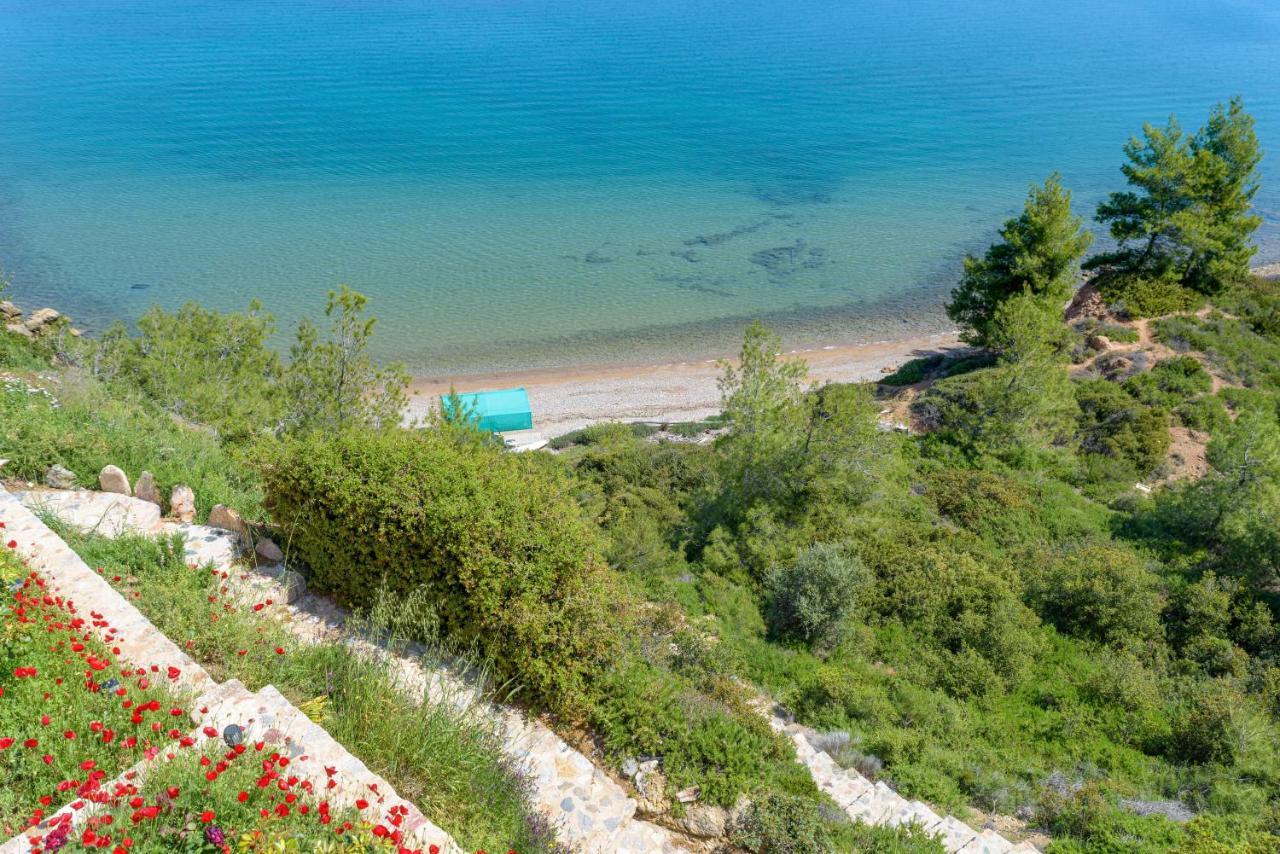 Crystal Beach Villa Chalkís Buitenkant foto